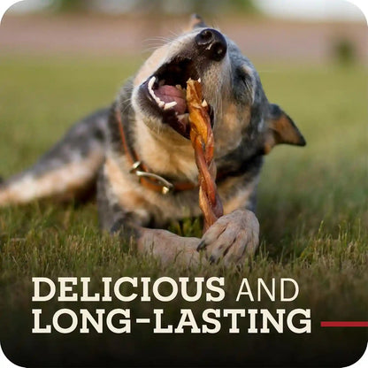 Redbarn Pet Products All Natural 5"-8" Braided Bully Sticks for Small & Large Dogs - Healthy Long Lasting Beef Chews Variety Party Pack - Single Ingredient Low Odor Rawhide Free - 8 Oz Bag6