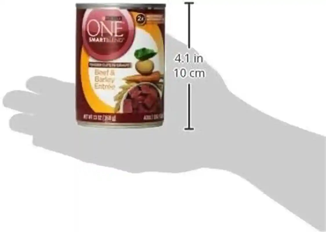 purina-one-natural-wet-dog-food-gravy-tender-cuts-in-gravy-beef-and-barley-entree-13-ounce-pack-of-12