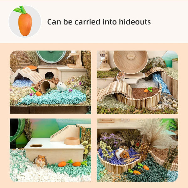 Niteangel Hamster Chew & Decor Toys: Pack of 6 Carrot-Shape & Beech Wood | Chew-Friendly Design to Control Tooth Overgrowth for Syrian Dwarf Hamster Gerbils Mice Lemming Degu or Other Small-Sized Pets3