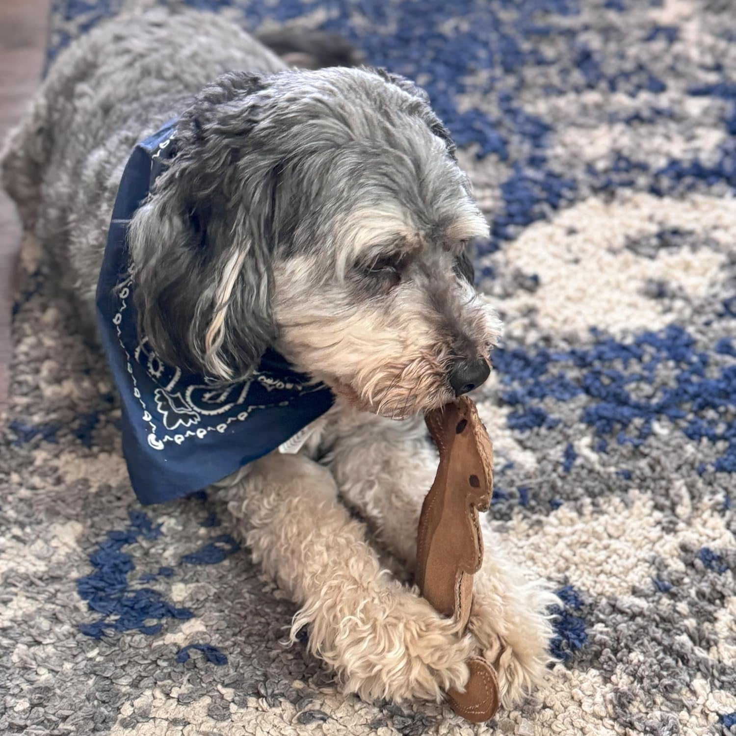 spot-dura-fused-leather-squirrel-dog-toy-real-leather-jute-fabric-double-stitched-durable-soft-stuffed-squeaky-interactive-chew-toy-for-moderate-chewers-small-medium-dogs-8in