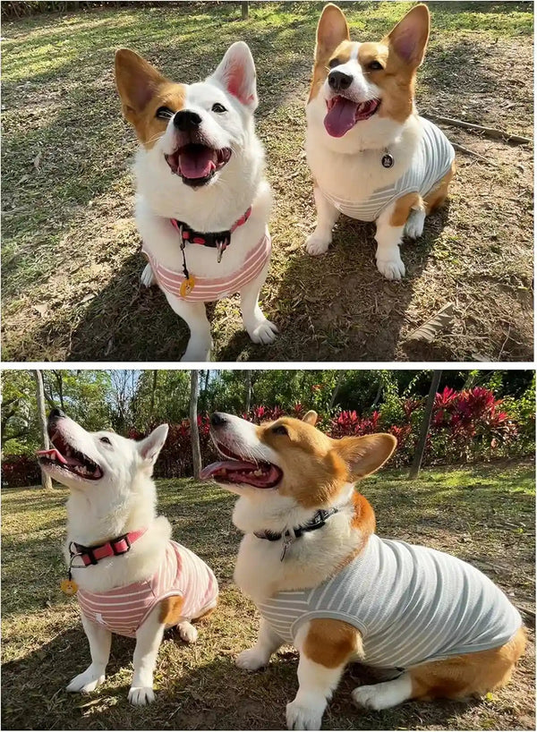 Koneseve Dog Shirt Vest Lightweight Stretchy Dog T-Shirts Soft Cool Sleeveless Stripe Vests Breathable Clothes for Puppy Kitty Cats Small Medium Large Dogs 2 Pack Pink + Green [ S/Small ]7