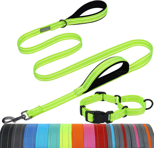VIVAGLORY Double Handle Dog Leash Twingrip, 6Ft X 1In, Navy | Dog Leash for Collar with Traffic Handle & 2 Loop for Walking & Training, Traffic Control Reflective Heavy Duty Puppy Pet14