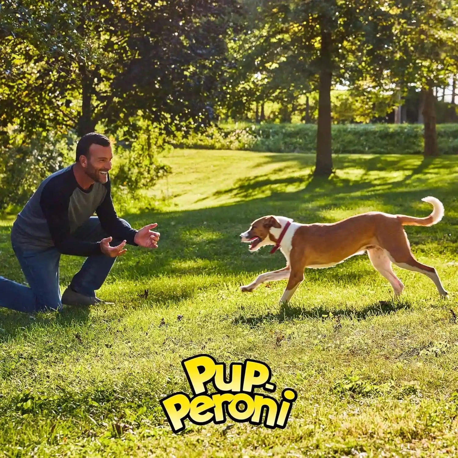 pup-peroni-dog-treats-original-bacon-flavor-22-5-ounce-made-with-real-bacon