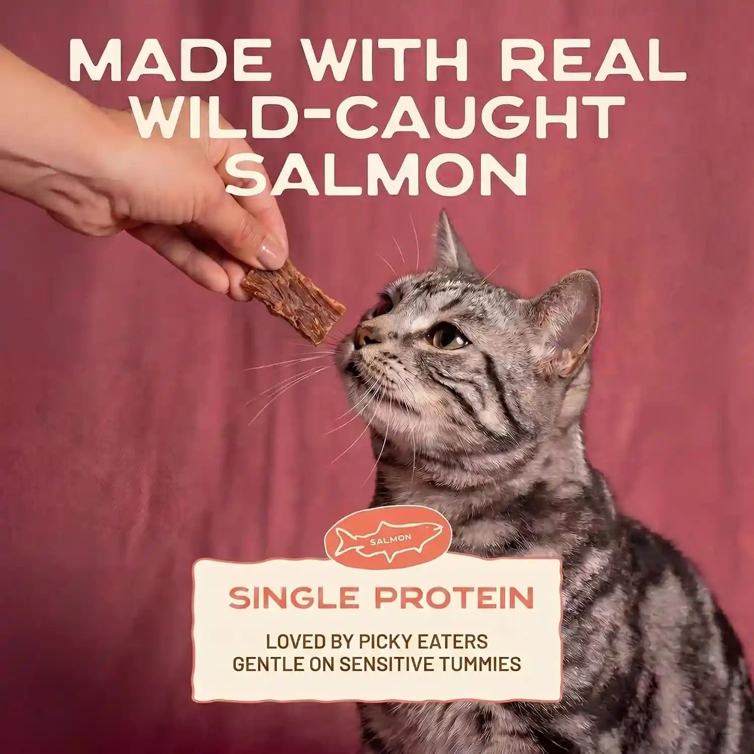 smart-cookie-salmon-jerky-cat-treats-real-salmon-flaxseed-omega-3s-for-skin-coat-grain-free-high-protein-handcrafted-natural-treat-made-in-the-usa-pack-of-1