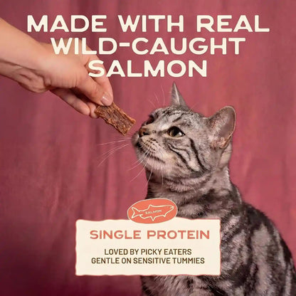Smart Cookie Salmon Jerky Cat Treats – Real Salmon & Flaxseed, Omega-3S for Skin & Coat, Grain Free, High Protein, Handcrafted Natural Treat – Made in the USA (Pack of 1)3
