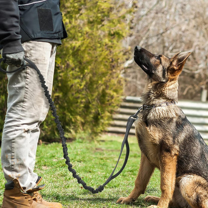 Rabbitgoo Tactical Dog Leash, Heavy Duty Training Bungee Lead | Military Leash with 2 Padded Control Handles for Medium Large Dogs, No Pull for Shock Absorption, Reflective, Black, 5.2FT9