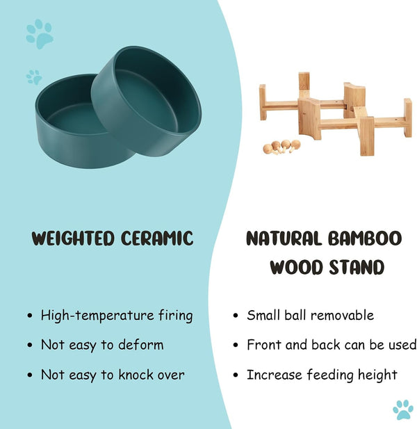 SPUNKYJUNKY 15° Slanted Ceramic Dog and Cat Bowl with Wooden Stand, Tilted Bulldog Food and Water Bowl No Slip Non-Spill for Cats Medium Dogs Big Face Pets 13.5 OZ (1.7 Cups, Green × 2)7