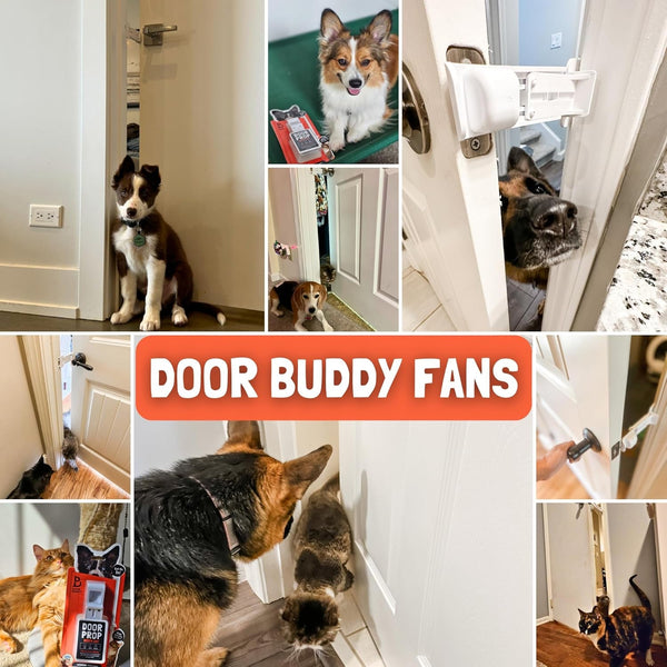 Door Buddy Door Prop for Cats - Easiest Cat Door Latch Holder to Keep Interior Door Open for Pets - Dog Proof Cat Feeding Station & Litter Box - Strong & Portable Door Stopper & Pet Gate Alternative8
