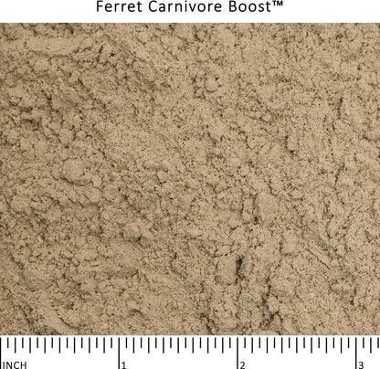 Ferret Carnivore Boost™3