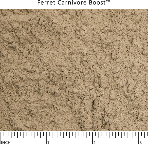 Ferret Carnivore Boost™3