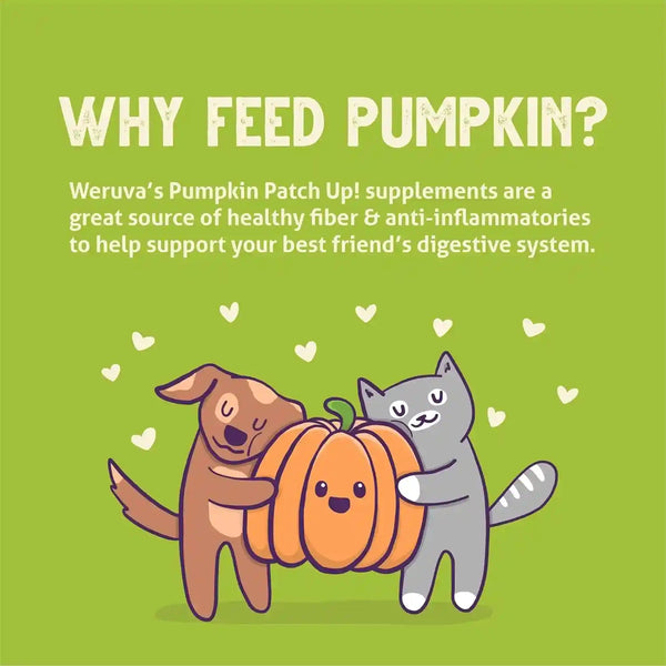 Weruva Pumpkin Patch Up!, Pumpkin Puree Pet Food Supplement for Dogs & Cats, 2.80Oz Pouch (Pack of 12)8