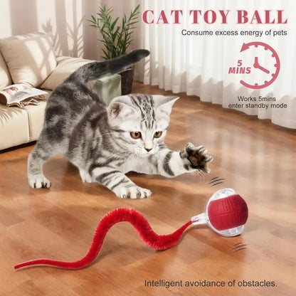 2 PCS Interactive Cat Toys for Indoor Cats, Fast Rolling on Carpet Flash and Motion Activated Cat Balls for Bored Indoor Cats4