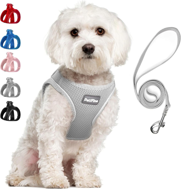 Small Dog Harness and Leash Set Breathable Step-In Puppy Cat Harness,Xs | Reflective for Safe Easy Walking,Soft Light Puppy Vest,Escape Proof,No Pull Harness for Dogs,All Weather Air Mesh Harness24