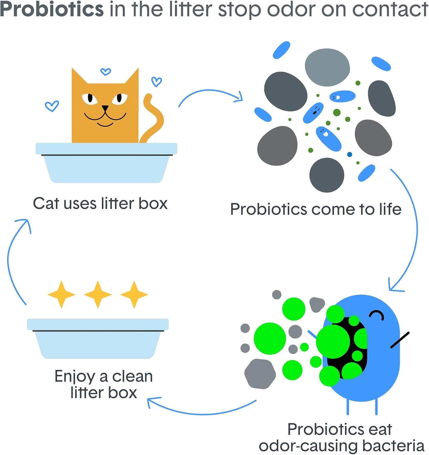 boxie-probiotic-clumping-cat-litter-40-day-odor-control-dust-free-16-lb