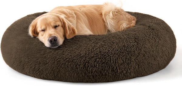 Hoewina Dog & Cat Bed for Indoor Cats, 20In Calming Donut Bed for Puppy and Kitten, Washable round Fluffy Pet Bed for Small Medium Dogs and Cats (Light Grey)46