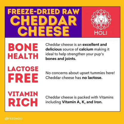 HOLI Freeze Dried Cheddar Cheese Dog Treats - 100% All Natural - Human Grade, Single Ingredient, Lactose Free - Grain Free, Gluten Free, Soy Free – (5 Ounce)8