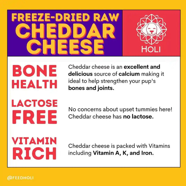 HOLI Freeze Dried Cheddar Cheese Dog Treats - 100% All Natural - Human Grade, Single Ingredient, Lactose Free - Grain Free, Gluten Free, Soy Free – (5 Ounce)8