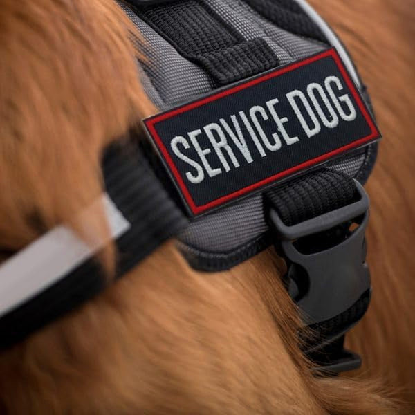 2 Pack Service Dog Patches for Harness, Tags with Hook and Loop Patches Red Border for Vests and Harnesses for Dog in Training, Service Dog, Emotional Support4