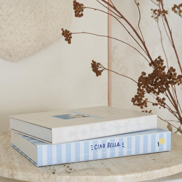 Beautiful Decorative Books - Set of 2 Coastal Boxes for Coffee Table Decor | Aesthetic Fake/Faux Books for Modern Home Decoration - Coastal Room Decor for Bookshelf or Mantel, Photo Storage/Keepsake Box7
