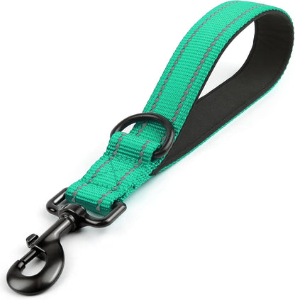 Joytale Short Dog Leash for Close Control & Training, 18", Black | Padded Comfort Handle, Reinforced Nylon Webbing, Secure Metal Clip, for Busy Streets & Heel Training10