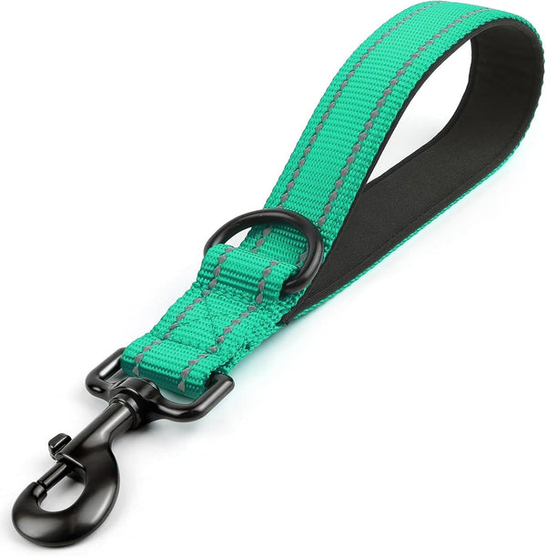 Joytale Short Dog Leash for Close Control & Training, 18", Black | Padded Comfort Handle, Reinforced Nylon Webbing, Secure Metal Clip, for Busy Streets & Heel Training10