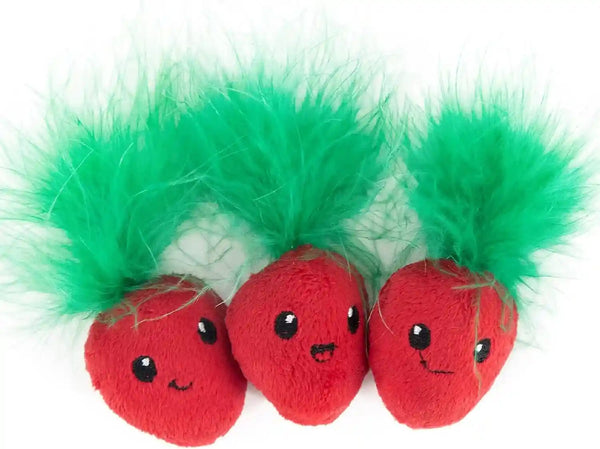 Catstages Dental Fruit Wedges 4 Pk, Soft and Textured Catnip Chew Toys That Help Clean Teeth, Multicolored16
