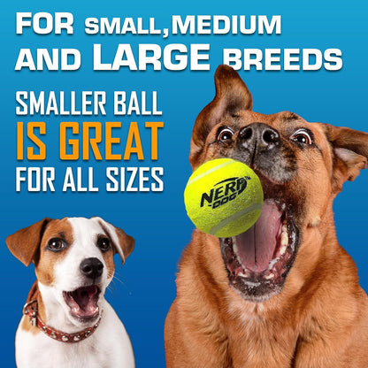 Nerf Dog Tennis Ball Blaster Dog Toy Gift Set, Tennis Ball Dog Fetch Toy Launches up to 50 Ft, Dog Ball Thrower for All Breeds Includes Translucent Blue Tennis Ball Launcher and 3 Dog Tennis Balls6