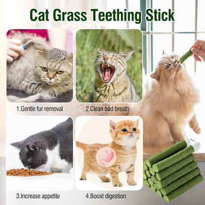 120G/4.23Oz Cat Grass Teething Stick Hairballs,Chew Sticks for Cats,Catnip Toys Sticks Indoor Kitten Chew Stick (Green)3