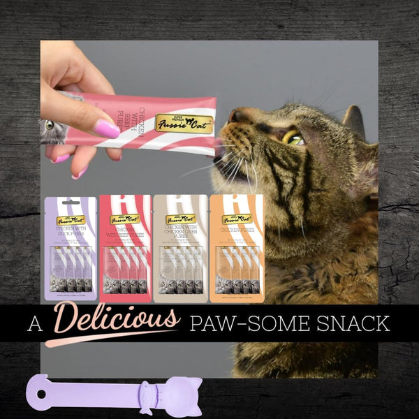Fussie Cat Premium Puree Lickable Cat Treats in Chicken Puree, 4 Flavors, 4 Packs of 4-0.5Oz Tubes (16 Total Tubes) +Spoon4
