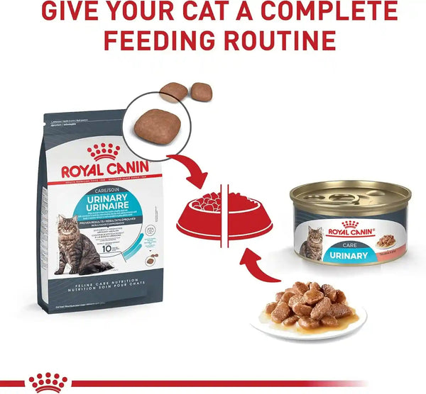 ROYAL CANIN Feline Care Nutrition Urinary Care Adult Thin Slices in Gravy Cat Food, 3 Oz (Pack of 12) | Adult Formula, Supports Urinary Health, Savory Gravy, Convenient Portion Size, Multipack for Easy Storage6
