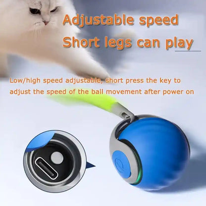 2Packs Speedy 2.0 Tail Cat Toys for Bored Indoor Adult Cats,2025 New Generation Interactive Cat Toys for Indoor Cats,Automatic Moving Ball with Tail,Blue and Orange2