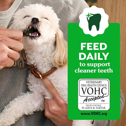 Greenies Puppy Teenie Natural Dental Dog Treats, Original Flavor, 22 Count | Veterinarian-Recommended, Natural Ingredients, Cleans Teeth & Freshens Breath, for Dogs 5-15 Lbs, 6 Oz. Pack6