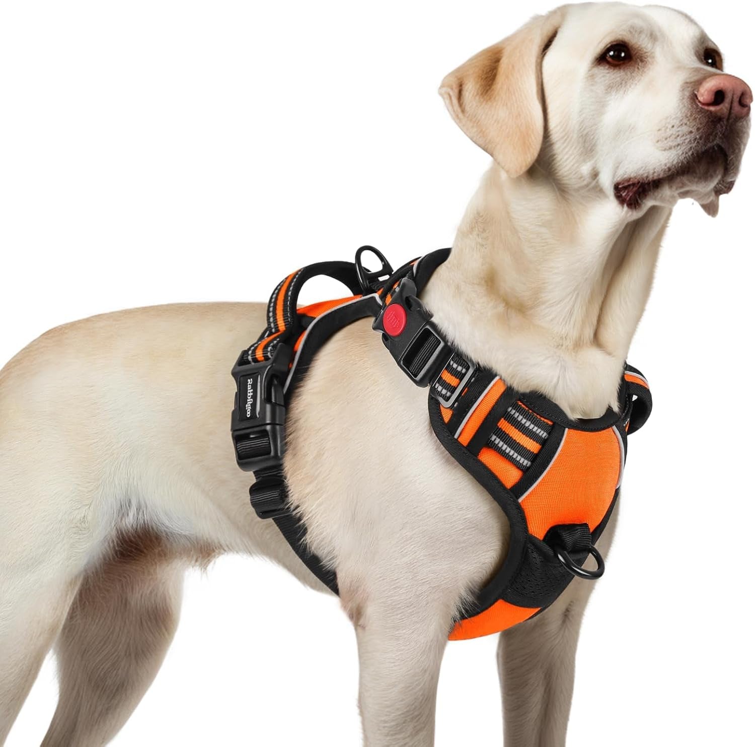 rabbitgoo-dog-harness-medium-sized-updated-easy-on-off-with-3-buckles-no-pull-no-choke-walking-with-2-clips-and-handle-adjustable-soft-reflective-blue-medium