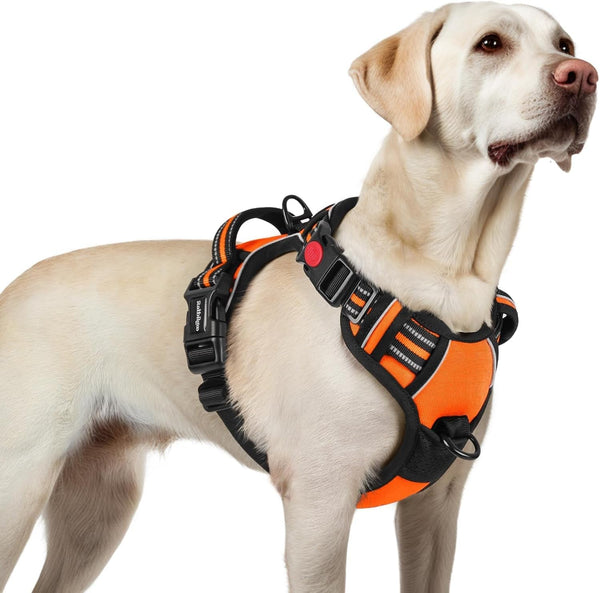 Rabbitgoo Dog Harness Medium Sized, Updated Easy on & off with 3 Buckles | No Pull No Choke, Walking with 2 Clips and Handle, Adjustable Soft Reflective, Blue, Medium60