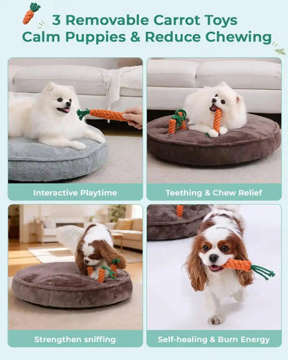 KSIIA Puppy Bed for Small Dogs, 28 Inch Washable Calming Plush round Dog Bed with Carrot Chew Toy, Orthopedic Support, Anti-Anxiety & Non-Slip Base for Puppies & Cats, Green2