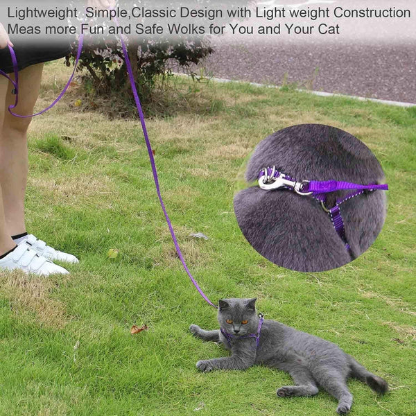 AMAGOOD 6 FT Puppy/Leash, Strong Traditional Style with Easy to Use Collar Hook, Great for Small, Medium and Large Dogs (5/8In X 6 Ft, Purple)6
