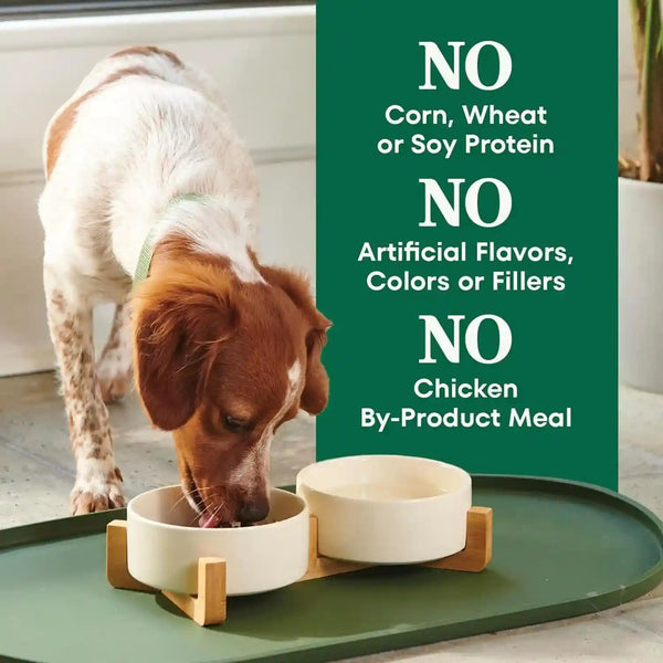 Nutro Natural Choice Small Breed Dry Dog Food, Chicken & Rice, 5 Lb | Non-Gmo, Real Chicken #1 Ingredient, No Corn, Wheat, Soy, Omega-3 & 6 for Soft Shiny Coat, Supports Energy, Bones & Muscles7