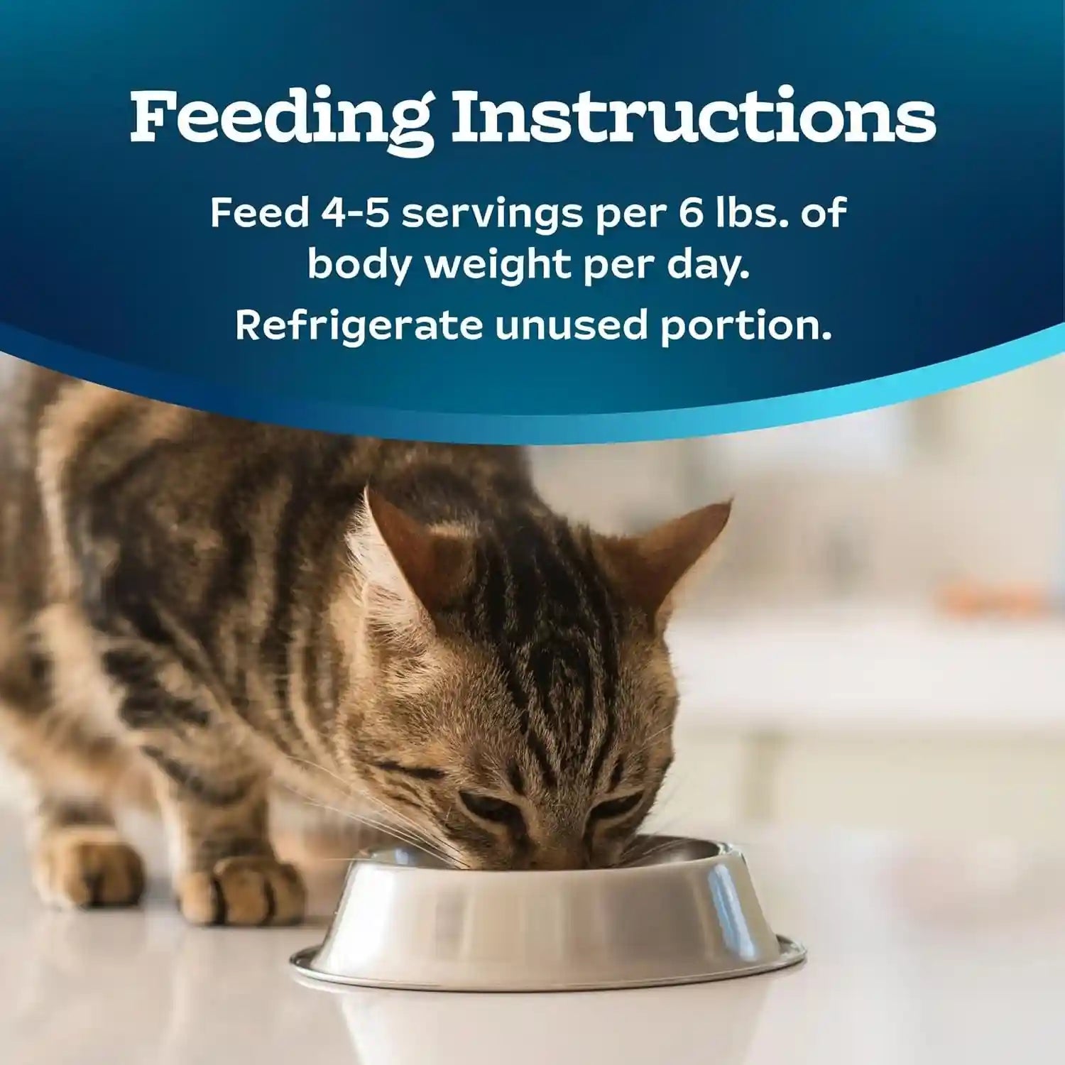 blue-buffalo-tastefuls-savory-singles-variety-pack-wet-cat-food-in-gravy-2-6-oz-twin-pack-trays-chicken-turkey-entree-12-count