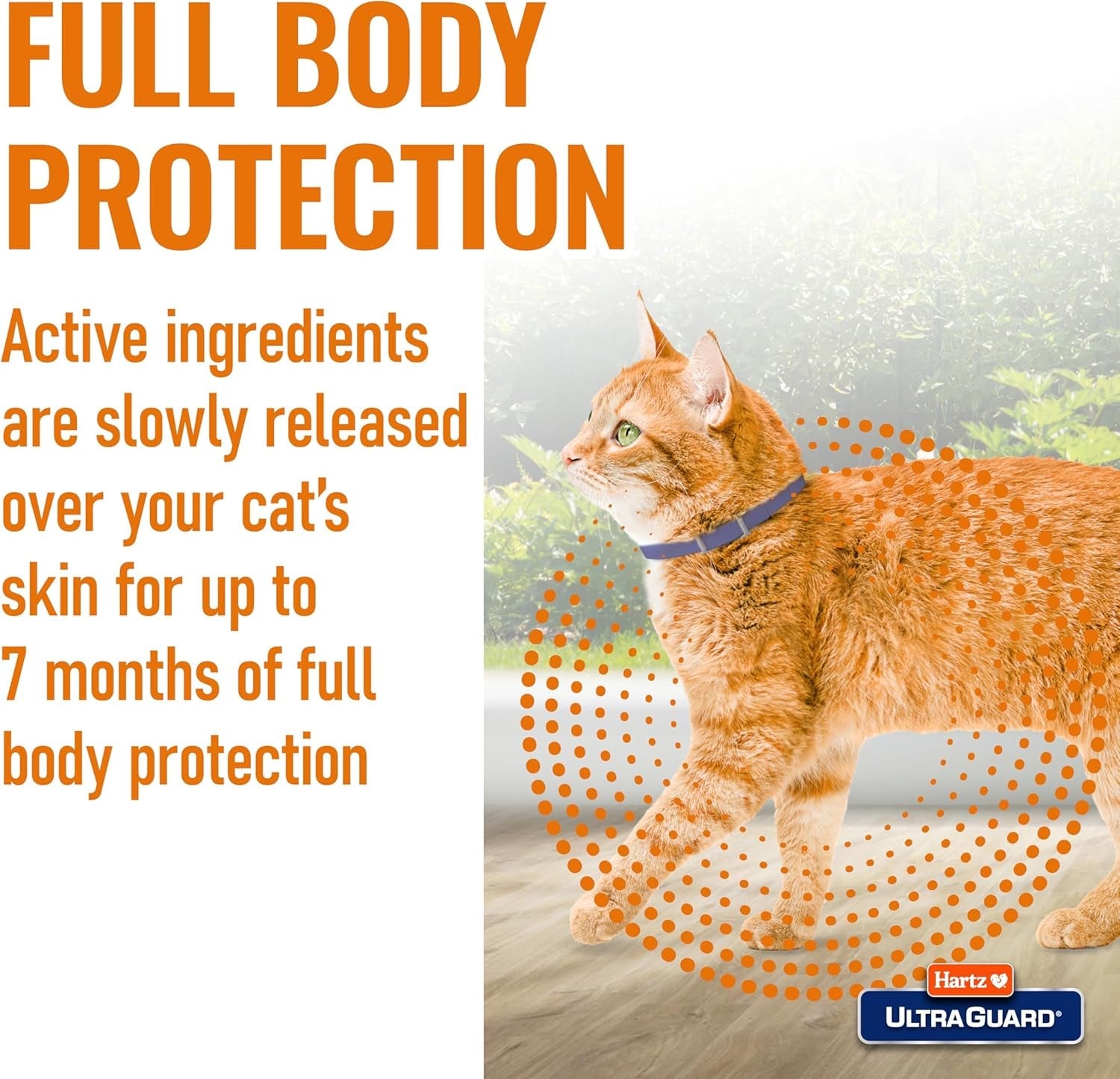hartz-ultraguard-flea-tick-collar-for-cats-and-kittens-7-month-flea-and-tick-protection-and-prevention-white