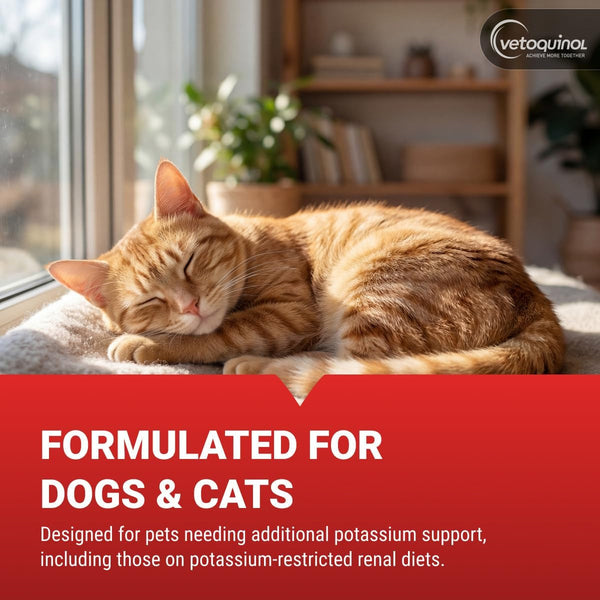 Vetoquinol Renal K - Potassium Supplement for Dogs & Cats - Supports Managing Potassium Levels - Palatable Gel with Maple Flavor - 5Oz4