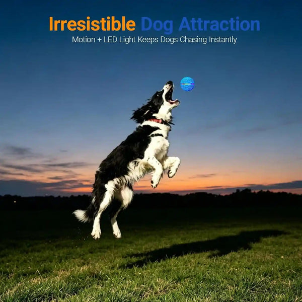 Interactive Dog Ball Toy for Small Medium Dogs – Automatic Rolling, Bouncing & Moving Dog Toy with LED Lights, 2-In-1 Fetch Toy, Durable E-TPU, USB Rechargeable (2.8” Blue)8