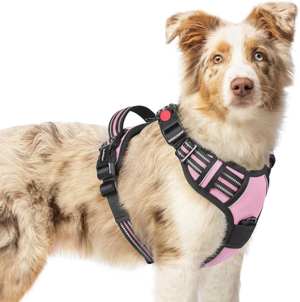 Rabbitgoo Dog Harness Medium Sized, Updated Easy on & off with 3 Buckles | No Pull No Choke, Walking with 2 Clips and Handle, Adjustable Soft Reflective, Blue, Medium51