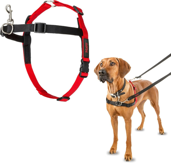 Halti Front Control Harness - Stop Your Dog Pulling on the Leash. Adjustable, Lightweight and Easy to Use. Anti-Pull Dog Training Harness for Medium Dogs (Size M) | Dog Harness to Stop Pulling on the Leash | Anti-Pull Training Aid | Front Leading No Pull Harness for Medium Dogs7