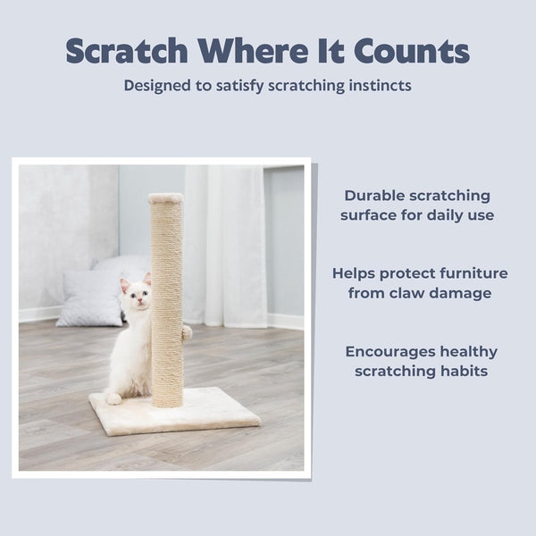 Trixie Parla Cat Scratching Post 24.4 Inch - Cat Scratcher with Soft Fabric Covering Base and Durable Natural Jute Rope - Beige3