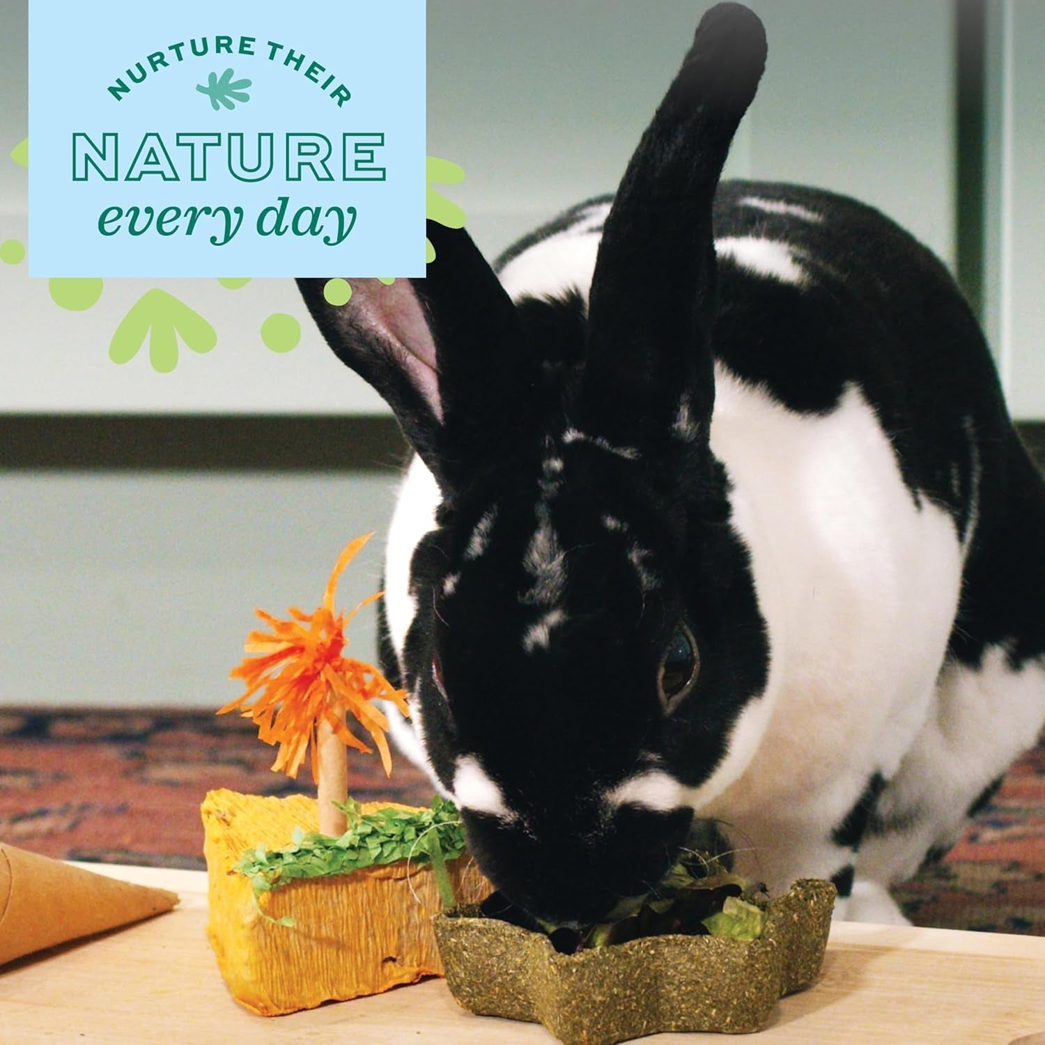 oxbow-timothy-hay-star-dish-rabbit-guinea-pig-toy-marigold-petals-oxbow-enriched-life-timothy-hay-rabbit-chew-toys-guinea-pig-enrichment-guinea-pig-chew-toys-rabbit-enrichment