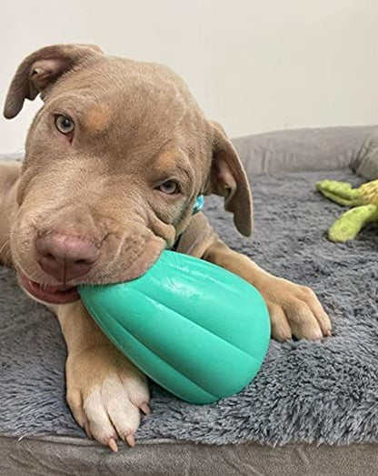 Chew King by Mammoth Premium Treat Dispensing Dog Toy, Durable Natural Rubber Chew Toy, Safety Air Vent, Interactive Enrichment Toy for Aggressive Chewers, Large Pack of 2- Teal9