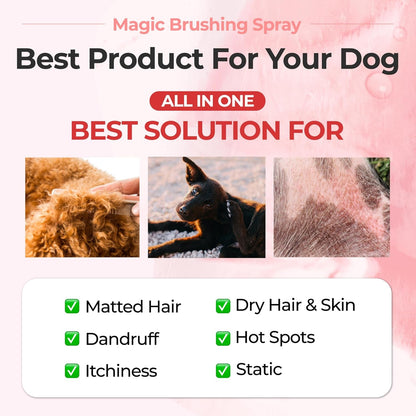 JAYU PET Magic Brushing Spray for Dogs (5.8Fl Oz, 170Ml) | Fur Detangler & Dematting Solution, Hypoallergenic Deodorizer, Conditioner & Itch Relief, Shining & Grooming Spray2