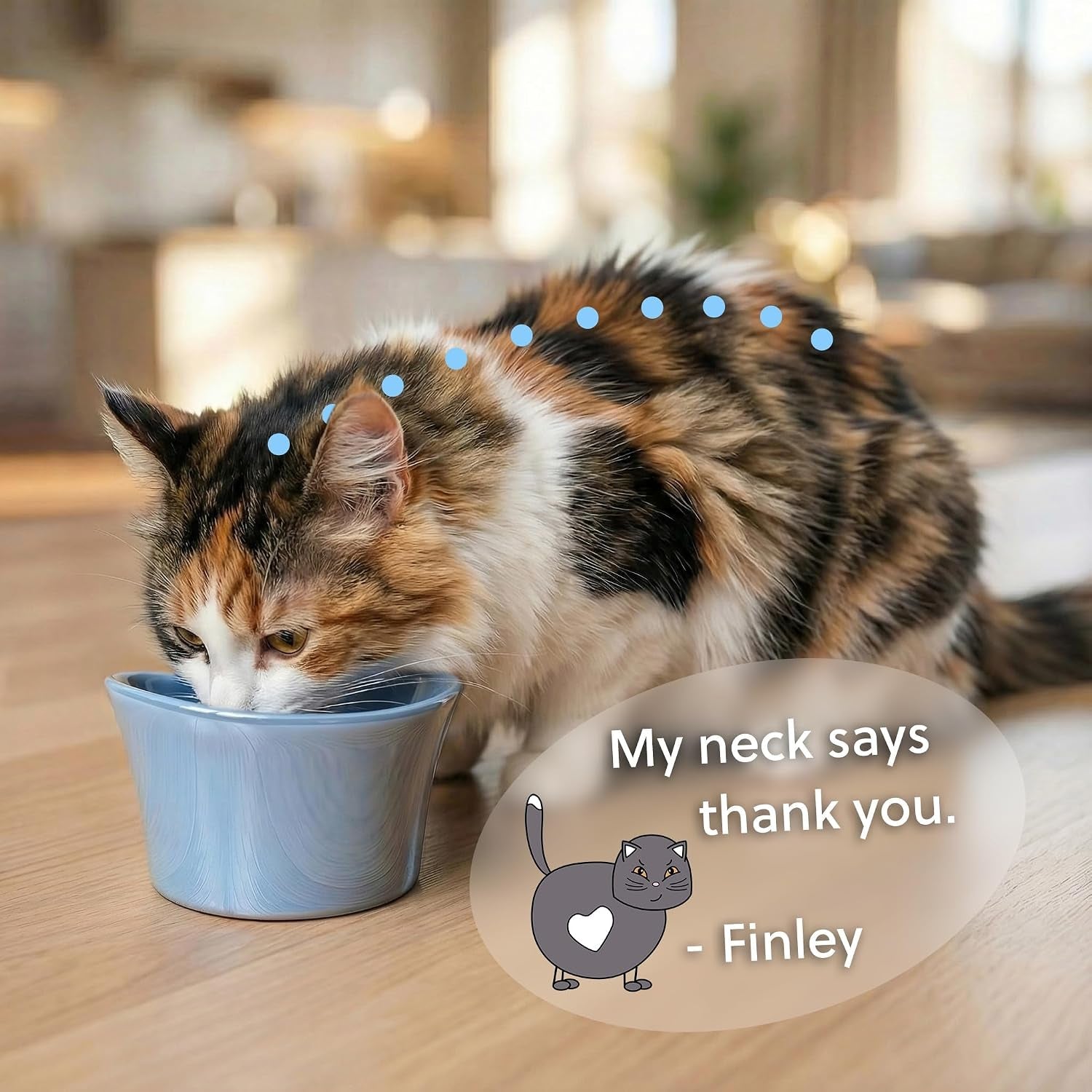 elevated-cat-bowls-for-water-whisker-neck-fatigue-shallow-cat-dishes-raised-bowl-for-indoor-cats-vet-recommended-height-modern-pedestal-design-non-slip-dishwasher-safe-8-oz-powder-blue