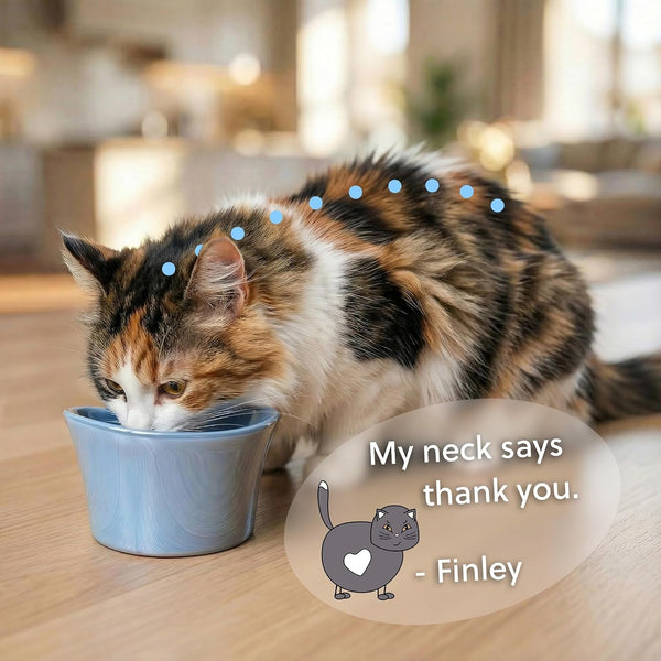 Elevated Cat Bowls for Water – Whisker & Neck Fatigue Shallow Cat Dishes – Raised Bowl for Indoor Cats – Vet-Recommended Height, Modern Pedestal Design – Non-Slip & Dishwasher-Safe – 8 Oz Powder Blue3