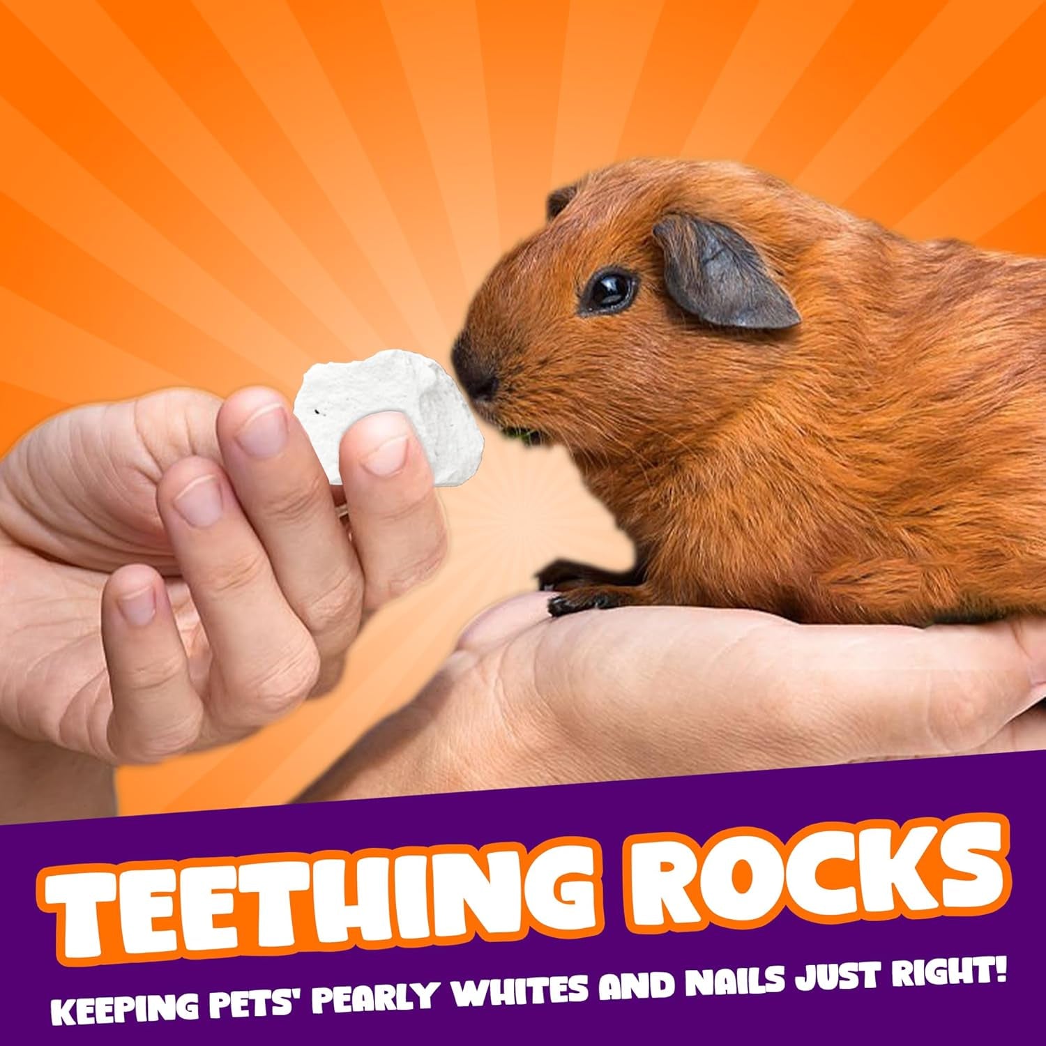 meric-cocoo-grinding-stone-for-small-pets-1-6x1-6x1-6-lava-rocks-trims-pet-teeth-smooths-claws-adds-calcium-to-diet-chew-toys-for-rabbits-chinchillas-hamsters-guinea-pigs-6pcs-per-pack